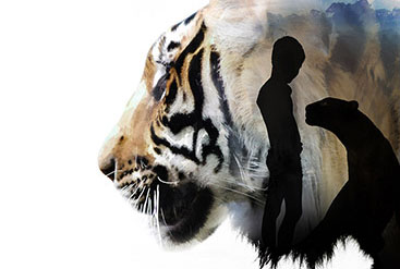 The Jungle Book